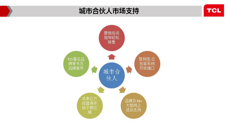TCL车载智能杀毒仪招商整合方案(图26)